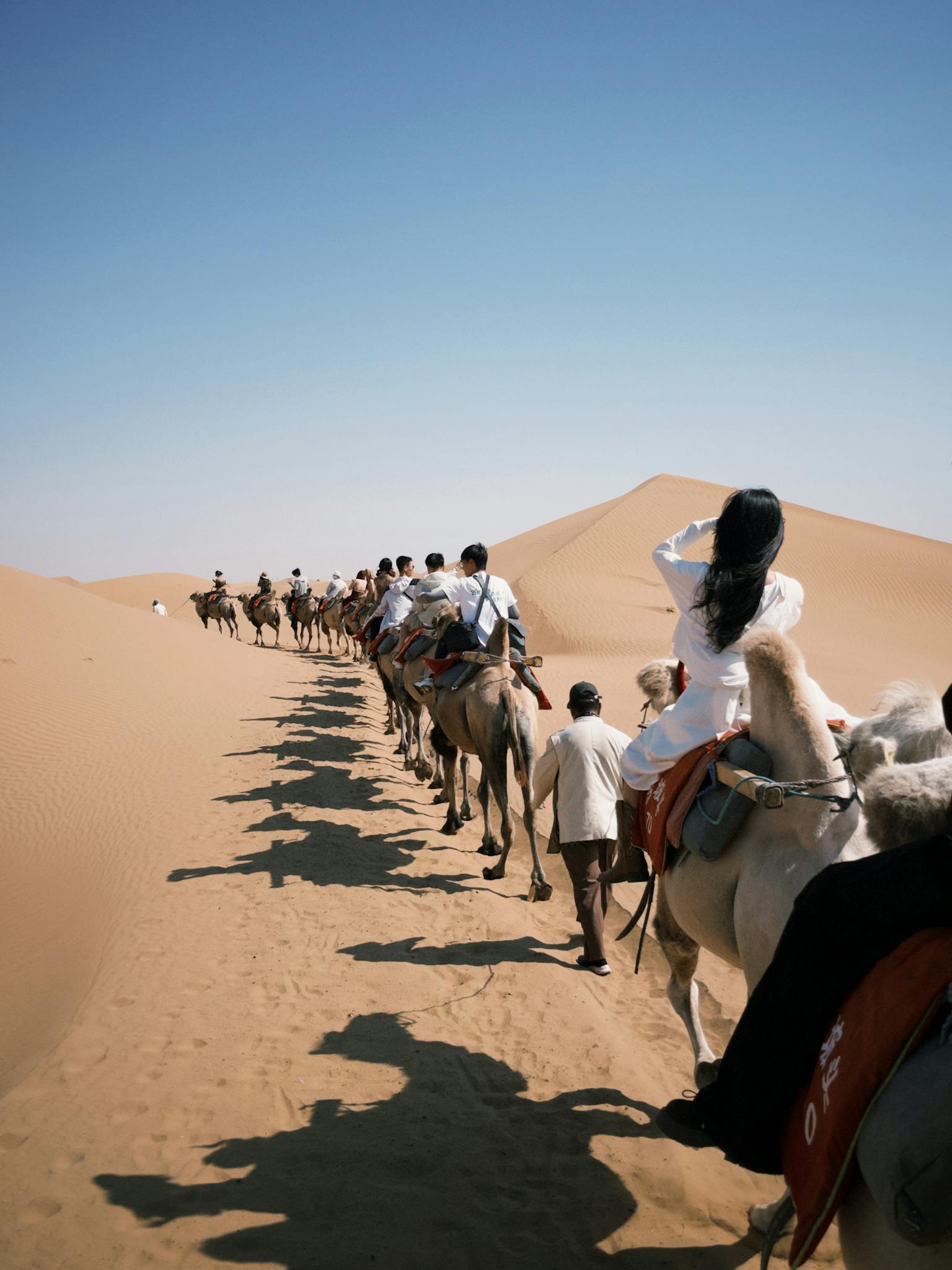 A line of camels with people traversing a desert landscape under a clear blue sky.