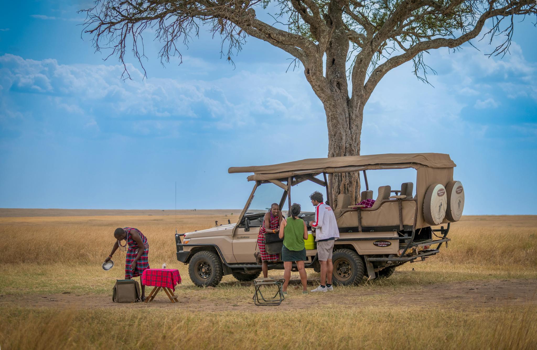 Group enjoys a safari near an acacia tree, showcasing a travel adventure experience.